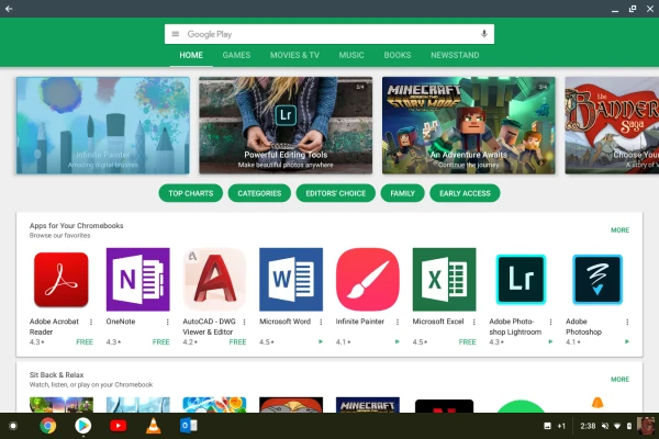 The Google Playstore on a Chromebook