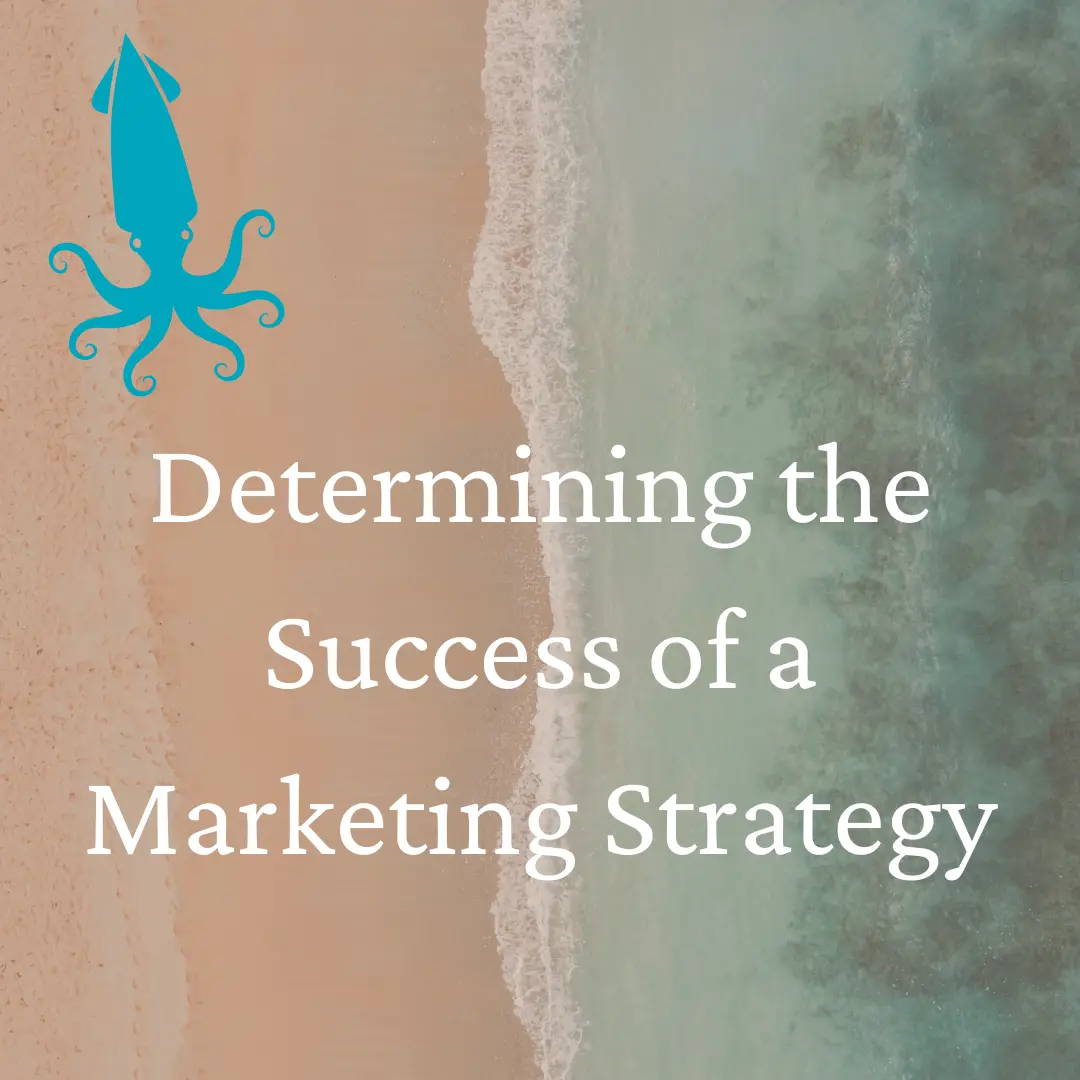 Determining the success of a marketing strategy