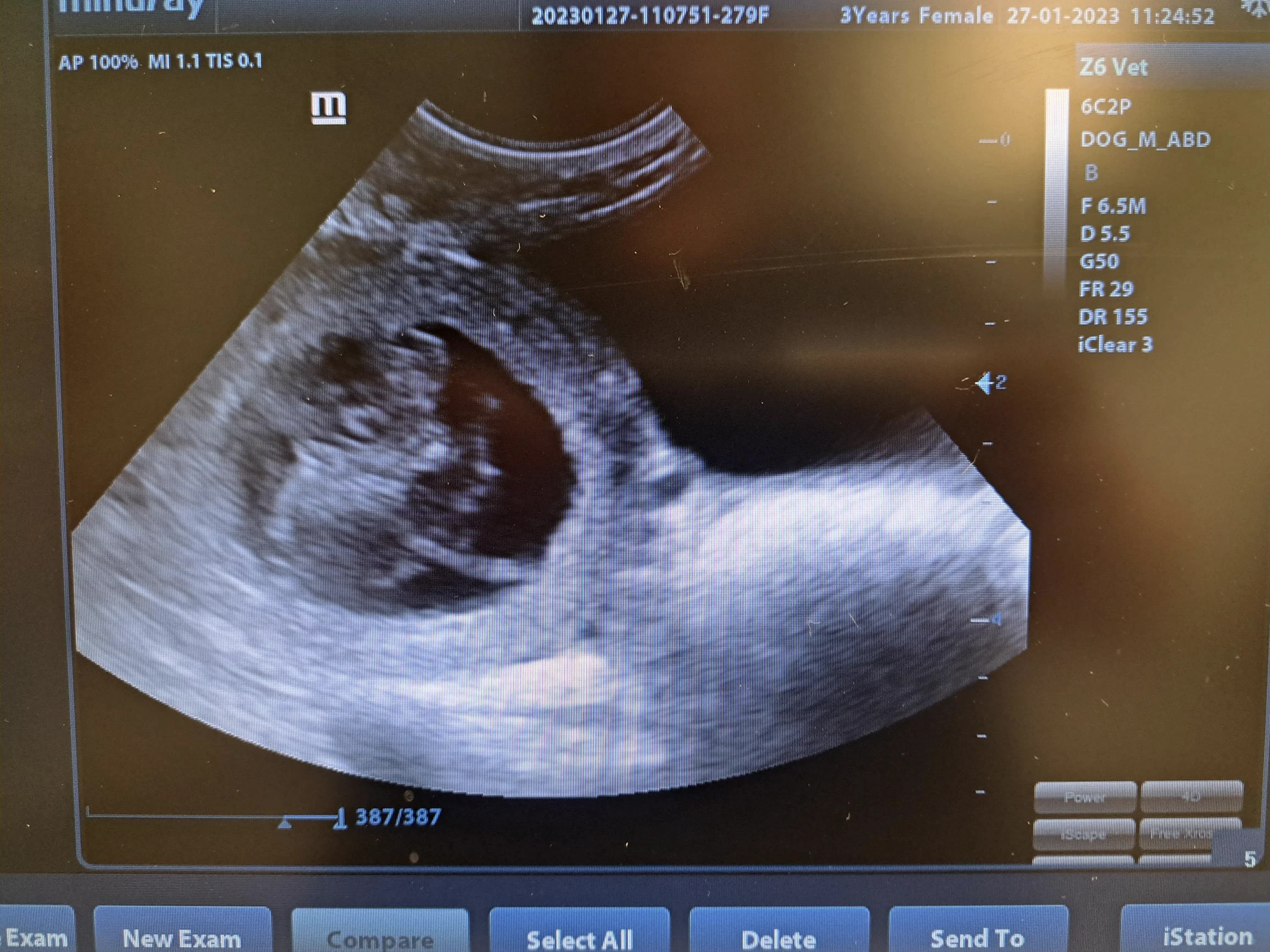 Puppy Scan