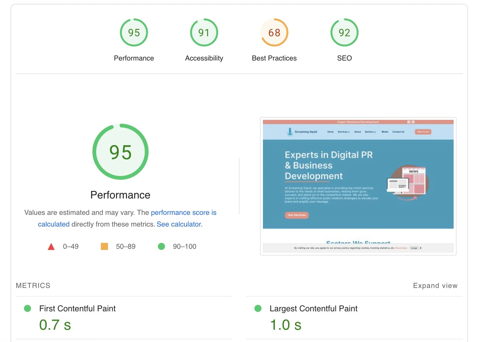 Screaming Squid Page Speed Insights