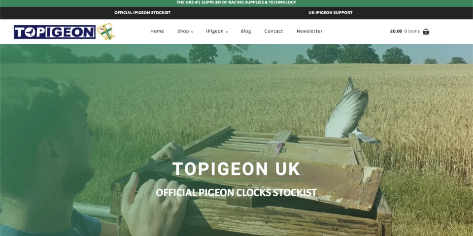 Screenshot of the Topigeon Website