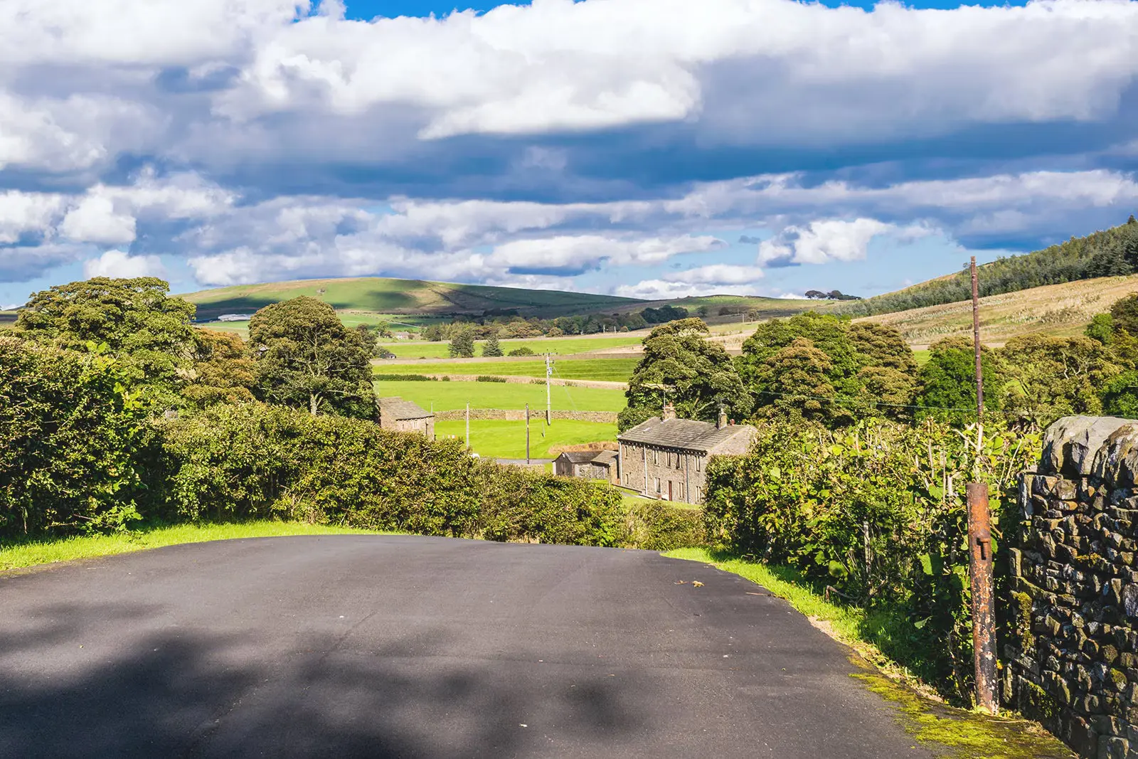 Rolling Hills