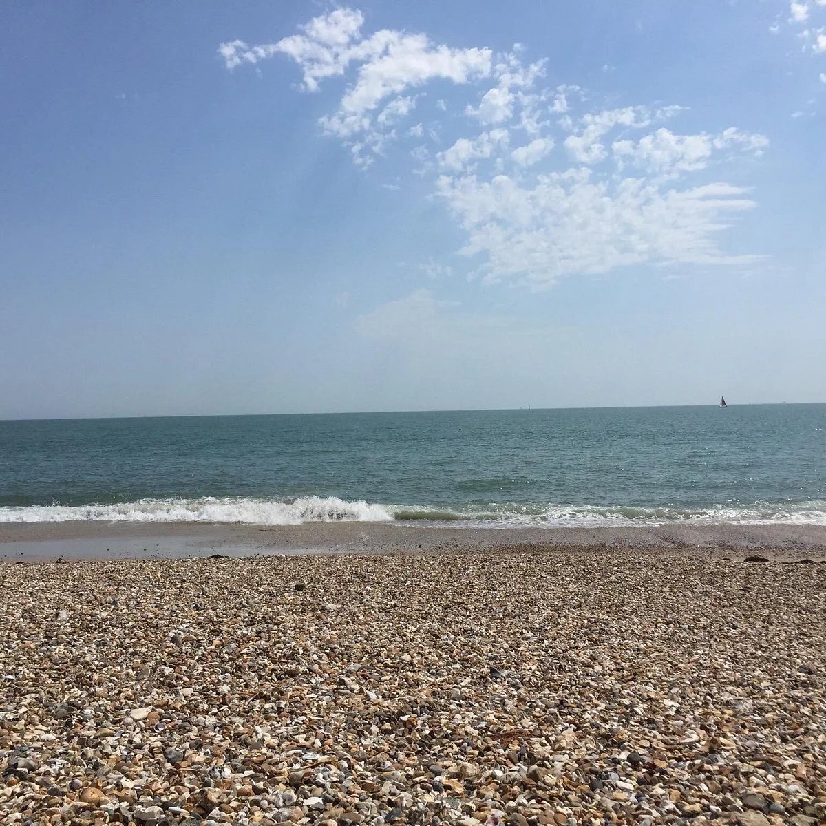 Beech